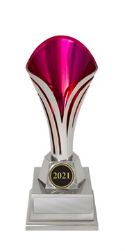 1101spka_discount-cups-trophies.jpg