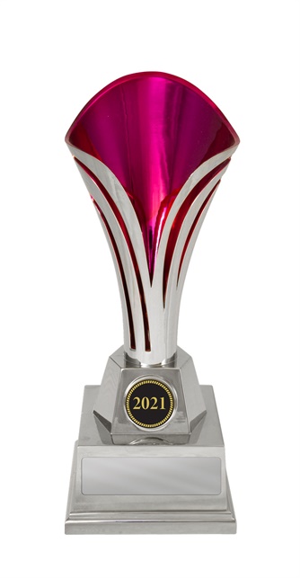 1101spka_discount-cups-trophies.jpg
