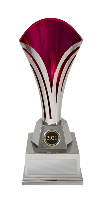 1101spka_discount-cups-trophies.jpg