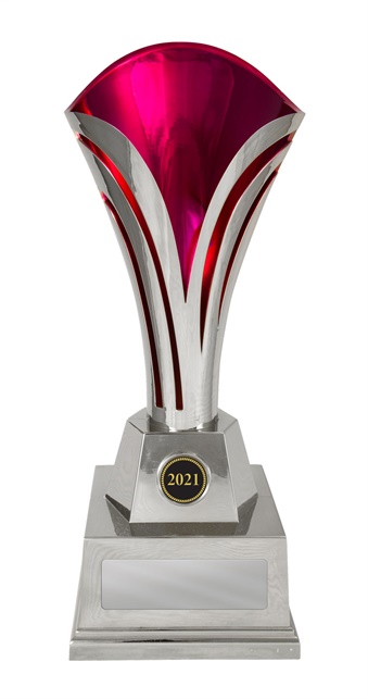 1101spka_discount-cups-trophies.jpg