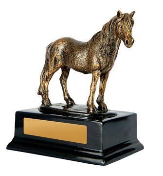 1109a_discount-horse-sports-trophies.jpg