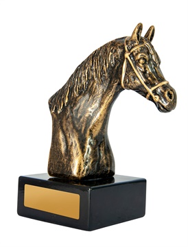 1109c_discount-horse-sports-trophies.jpg