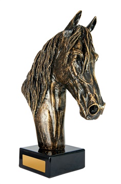 1109e_discount-horse-sports-trophies.jpg