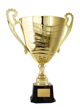 1112g-1p_euro-style-metal-cups.jpg