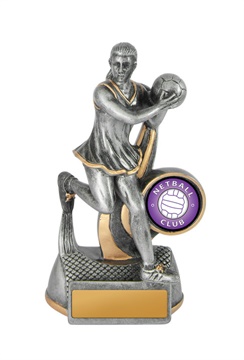 1118-8a_discount-netball-trophies.jpg