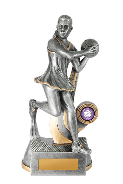 1118-8a_discount-netball-trophies.jpg