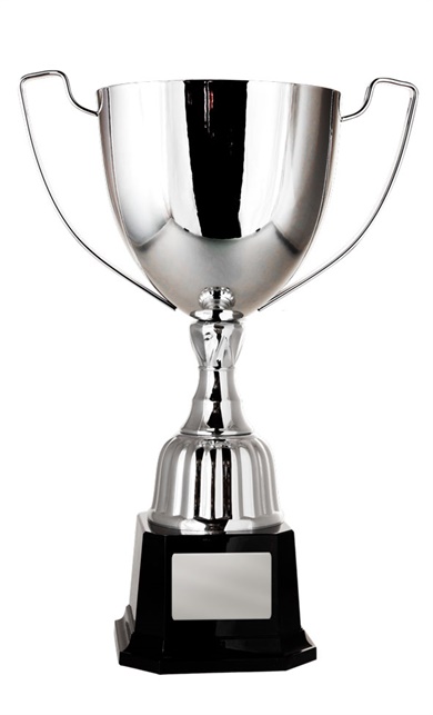 1123v-9p_discount-general-sports-trophies.jpg