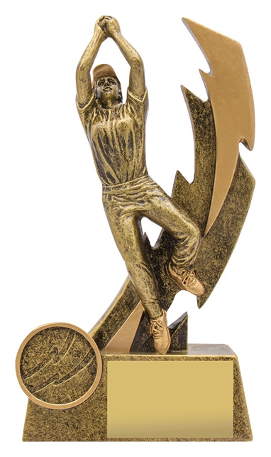 11609a_discount-cricket-trophies.jpg