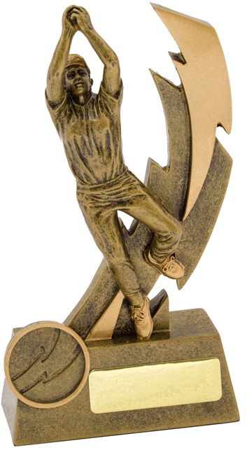 11609a_discount-cricket-trophies.jpg