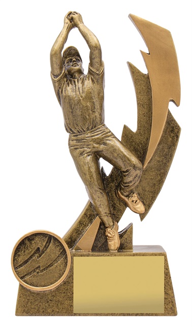 11610a_discount-cricket-trophies.jpg