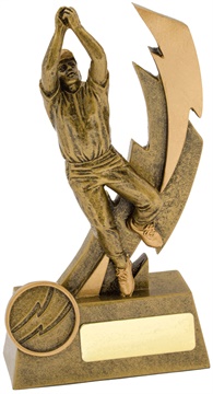 11610a_discount-cricket-trophies.jpg