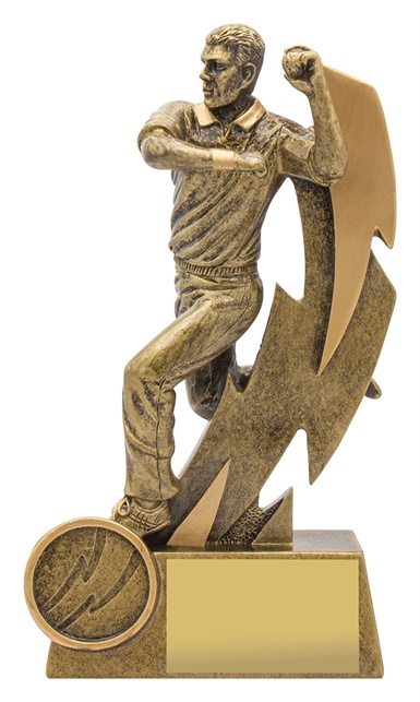 11611a_discount-cricket-trophies.jpg