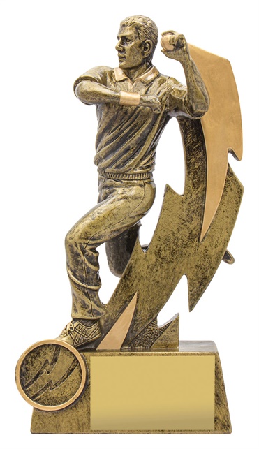 11611a_discount-cricket-trophies.jpg