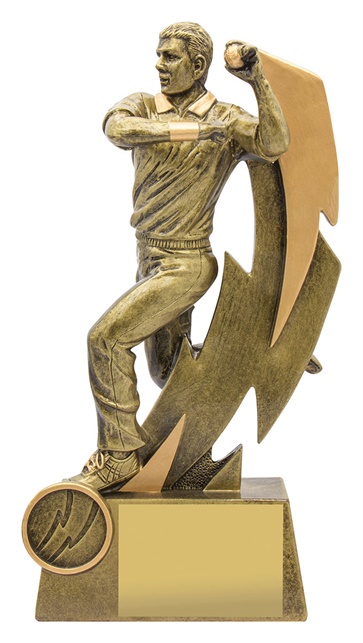 11611a_discount-cricket-trophies.jpg