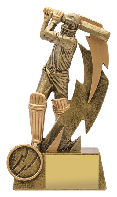 11614a_discount-cricket-trophies.jpg