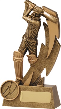 11614a_discount-cricket-trophies.jpg