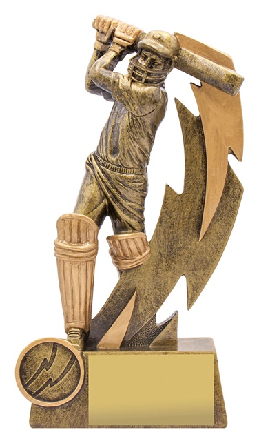 11614a_discount-cricket-trophies.jpg