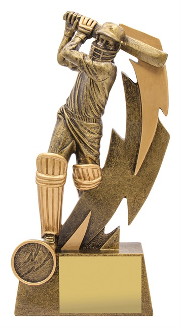 11614a_discount-cricket-trophies.jpg