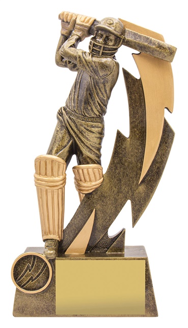 11614a_discount-cricket-trophies.jpg