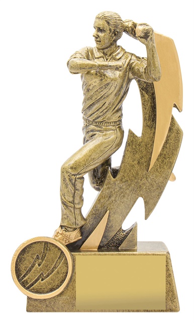 11615a_discount-cricket-trophies.jpg