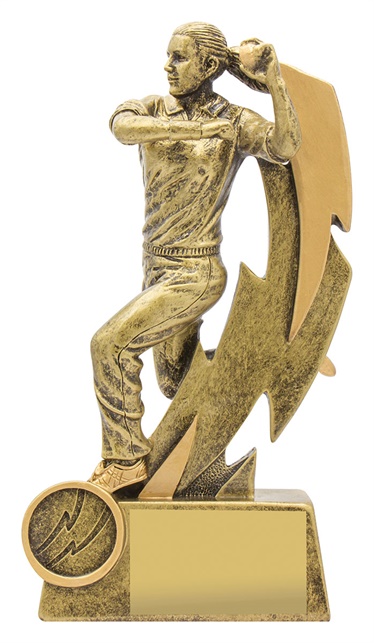 11615a_discount-cricket-trophies.jpg