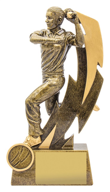 11615a_discount-cricket-trophies.jpg