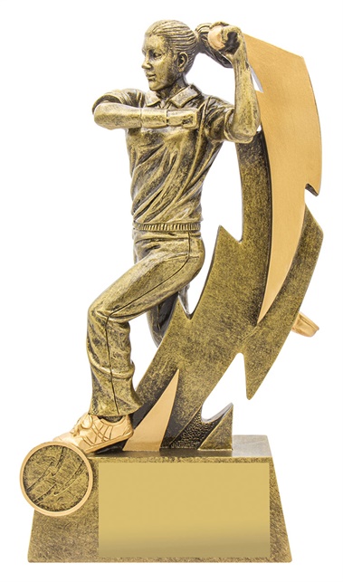 11615a_discount-cricket-trophies.jpg