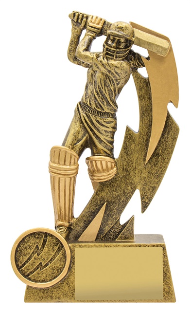 11616a_discount-cricket-trophies.jpg