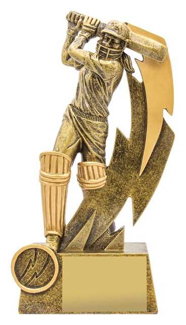 11616a_discount-cricket-trophies.jpg
