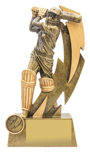 11616a_discount-cricket-trophies.jpg