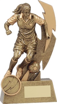 11681a_soccer-discount-trophies.jpg