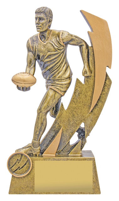 11688_1-discount-aussie-rules-trophies.jpg