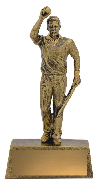 11711a_cricket-trophies.jpg