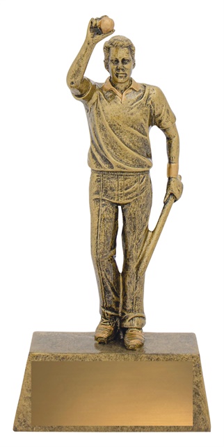 11711a_cricket-trophies.jpg