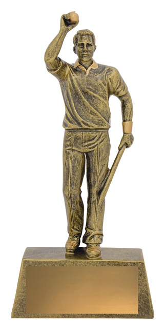 11711a_cricket-trophies.jpg