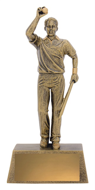 11711a_cricket-trophies.jpg