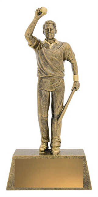 11711a_cricket-trophies.jpg