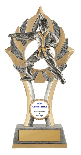 11b-cf11m_discount-martial-arts-trophies.jpg