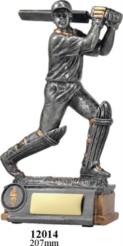 12014_CRICKETTROPHIES.jpg