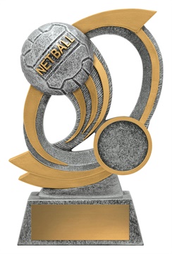 12091a_discount-netball-trophies.jpg