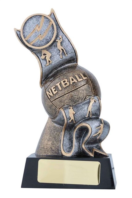 12237_netball-trophy-2.jpg