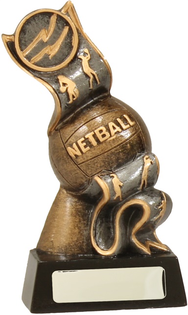 12237_netball-trophy-2.jpg