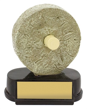 12507_discount-novelty-miscellaneous-trophies.jpg