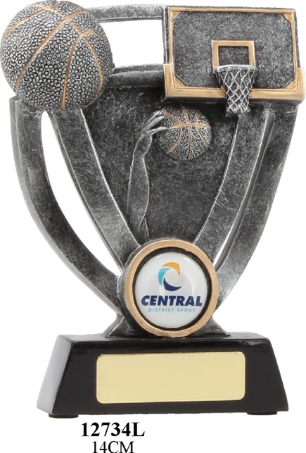 12734_1-discount-basketball-trophies.jpg