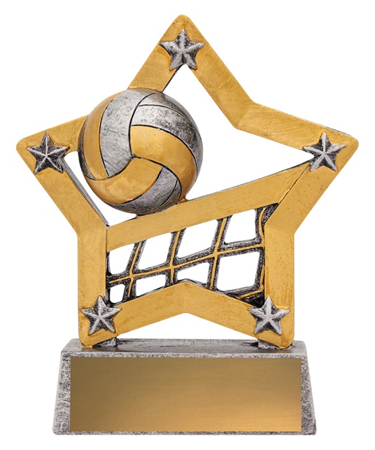 12927_WaterpoloTrophies.jpg