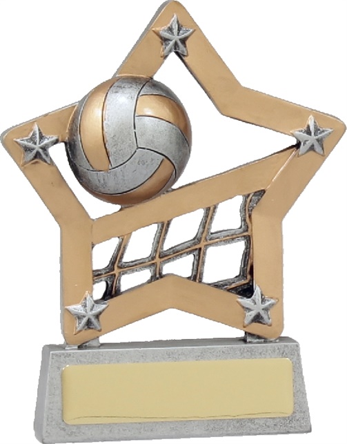 12927_WaterpoloTrophies.jpg