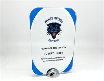 1292abu_discount-glass-trophies.jpg