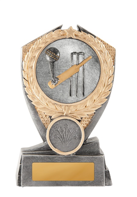 12a-2dc1g_discount-general-sports-trophies.jpg