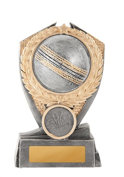 12a-2dc1ga_discount-general-sports-trophies.jpg