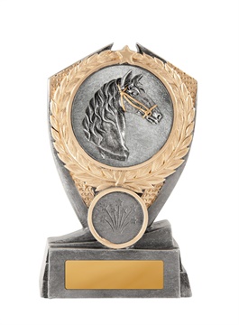 12a-2dc29g_discount-general-sports-trophies.jpg